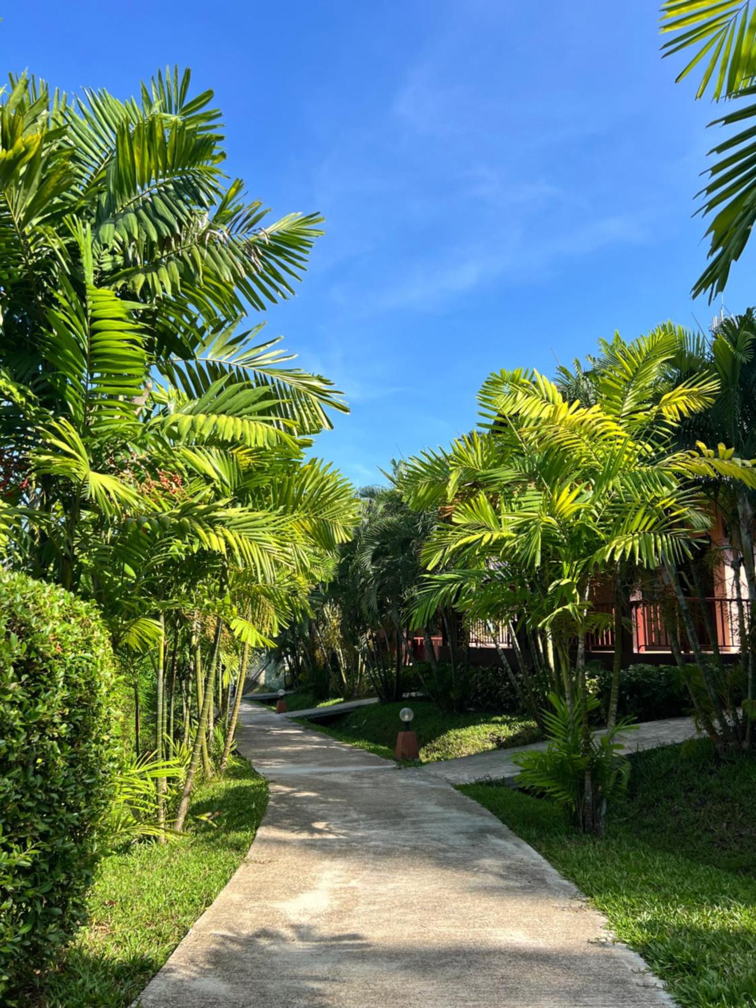 Palm Kiri Aonang Resort Ao Nang Exterior photo